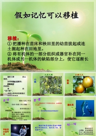 《假如记忆可以移植》课件