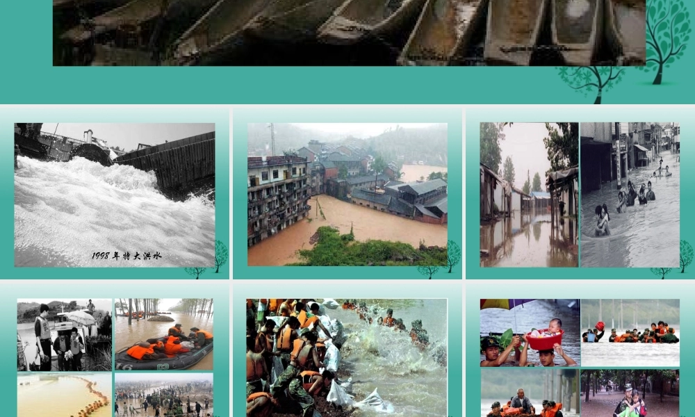 八年级语文上册 第7课(生命之舟)课件 (新版)语文版 课件