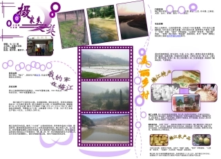 七（6）班江南小分队电子小报