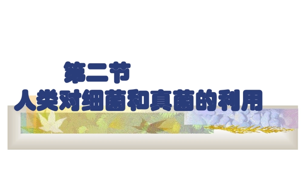 八年级生物 人类对细菌和真菌的利用课件