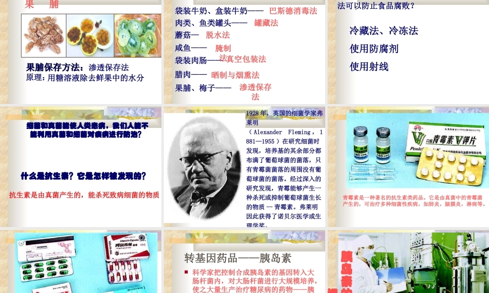 八年级生物 人类对细菌和真菌的利用课件