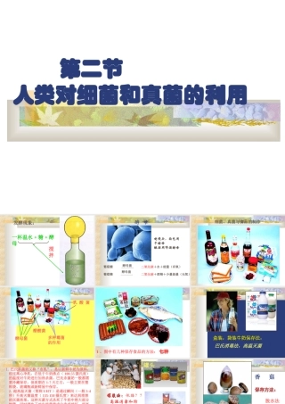 八年级生物 人类对细菌和真菌的利用课件