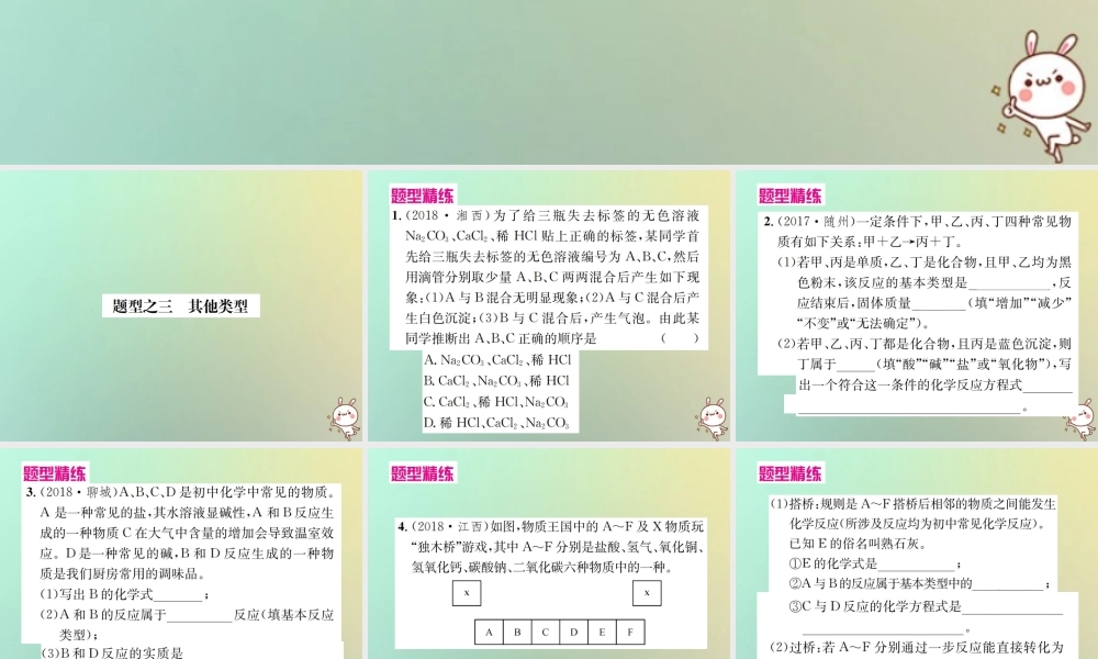 中考化学复习 题型复习(二)推断题 题型之三 其他类型课件