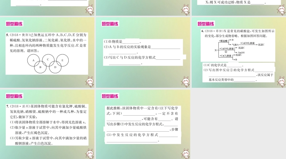 中考化学复习 题型复习(二)推断题 题型之三 其他类型课件