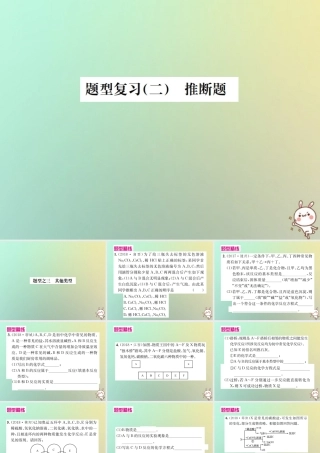中考化学复习 题型复习(二)推断题 题型之三 其他类型课件