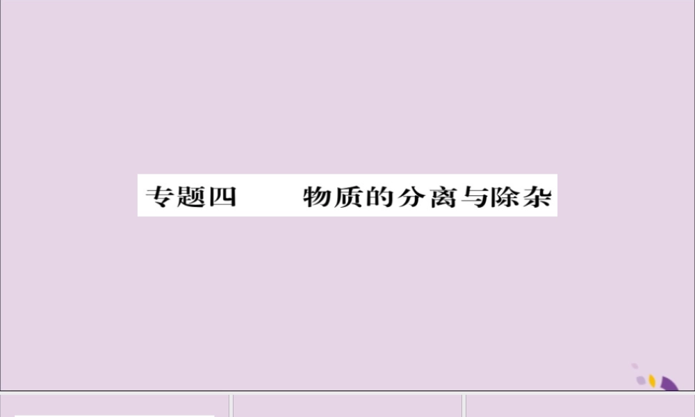 中考化学总复习 第二轮 专题训练 提升能力 专题四 物质的分离与除杂练习课件