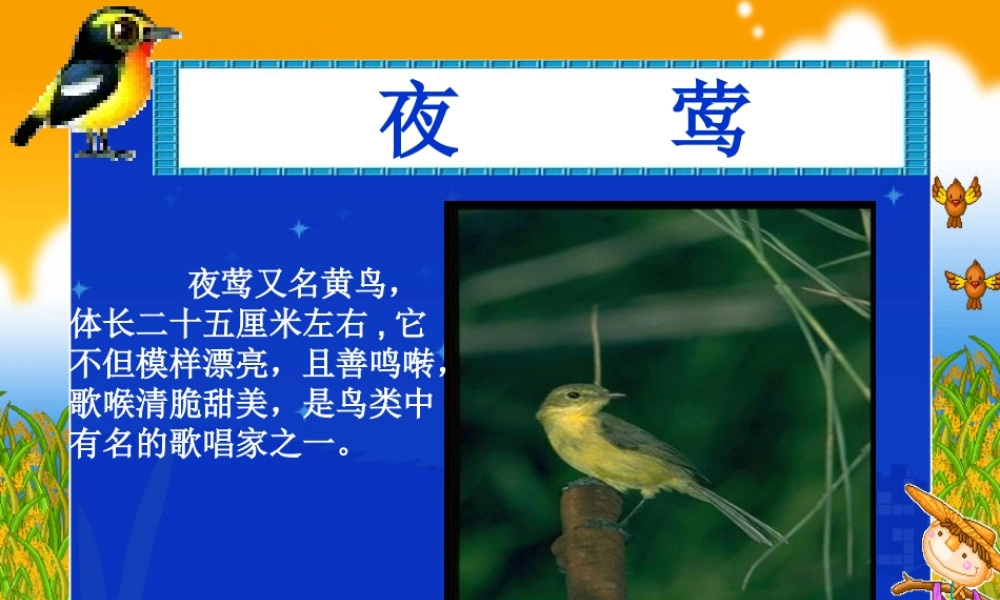 夜莺的歌声课堂演示课件