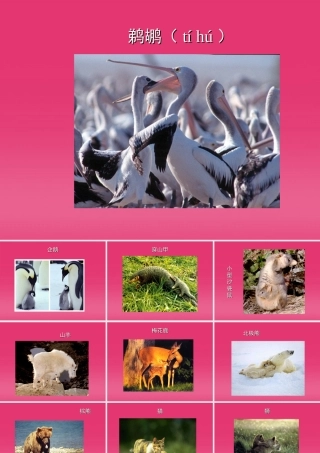 八年级生物下册 基因在亲子代间的传递课件 人教新课标版 课件