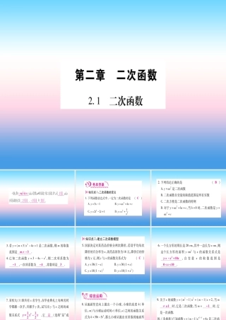 九年级数学下册 第2章 二次函数 21(二次函数)课堂导练课件(含中考真题)(新版)北师大版 课件