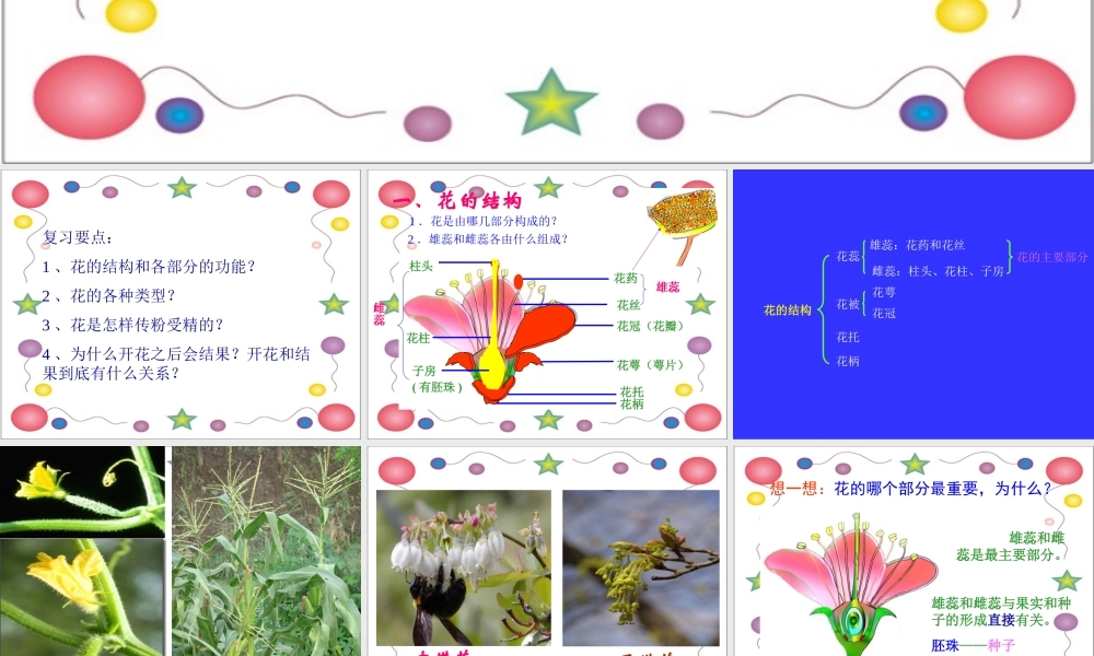 绿色开花植物的生殖