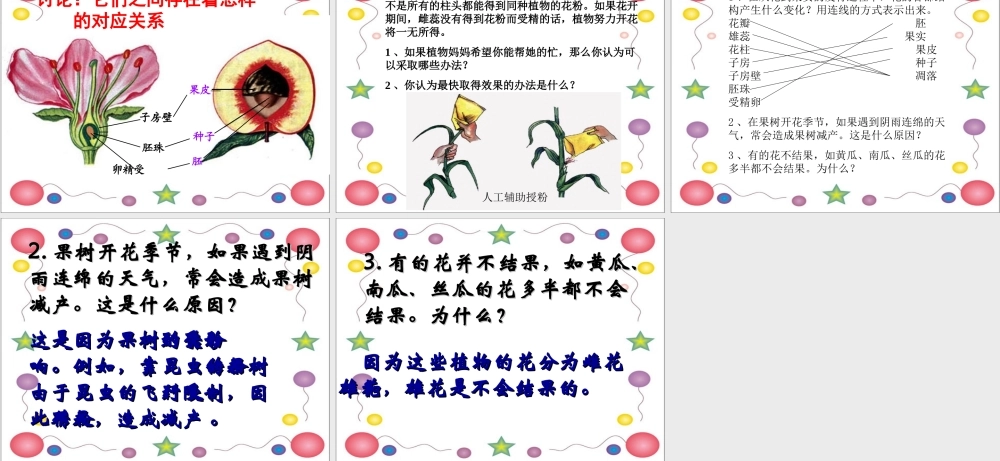 绿色开花植物的生殖