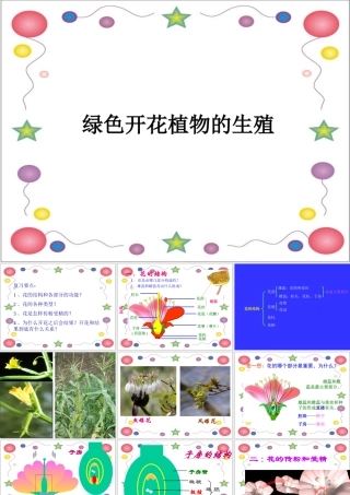 绿色开花植物的生殖