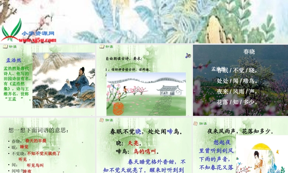 古诗两首_春晓》