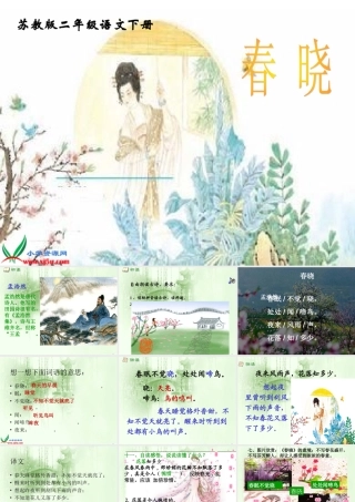 古诗两首_春晓》