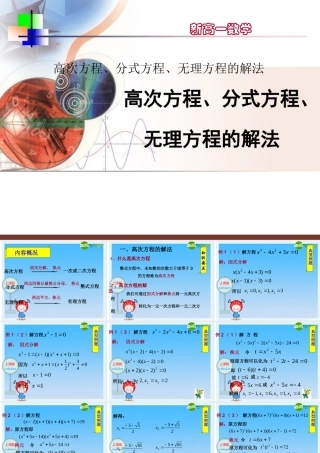 九年级数学(新高一)暑假辅导数学讲义 高次方程、分式方程、无理方程的解法课件 人教新课标版 课件