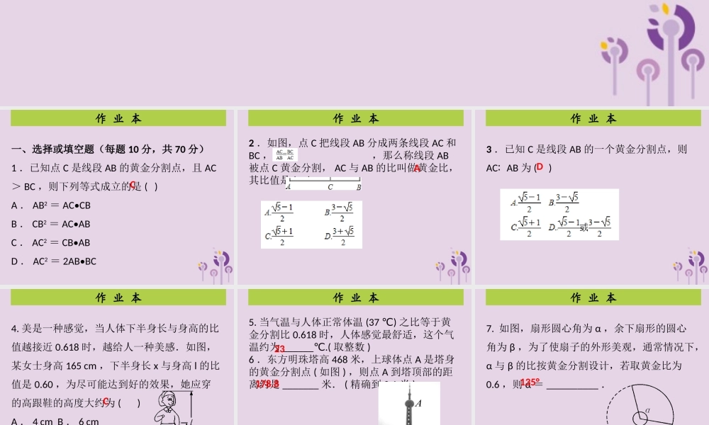 九年级数学上册 第4章 图形的相似 第8课时 探索三角形相似的条件(4)(课后作业)习题课件 (新版)北师大版 课件