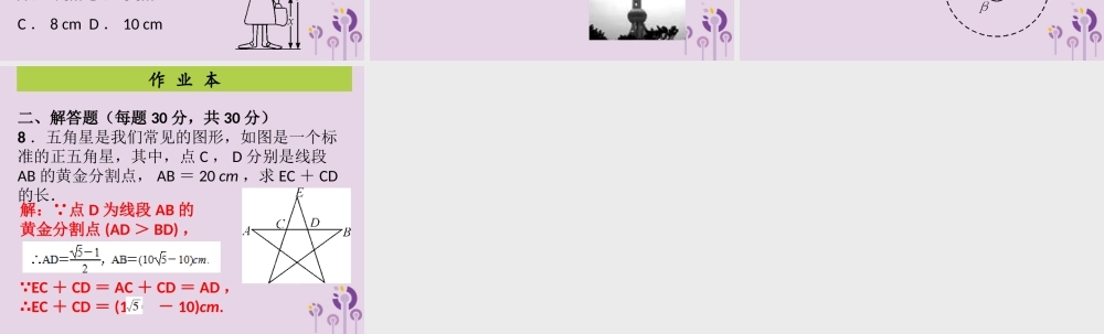 九年级数学上册 第4章 图形的相似 第8课时 探索三角形相似的条件(4)(课后作业)习题课件 (新版)北师大版 课件