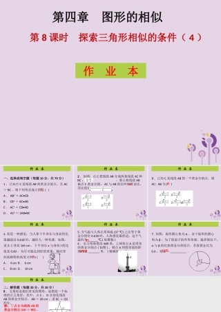 九年级数学上册 第4章 图形的相似 第8课时 探索三角形相似的条件(4)(课后作业)习题课件 (新版)北师大版 课件