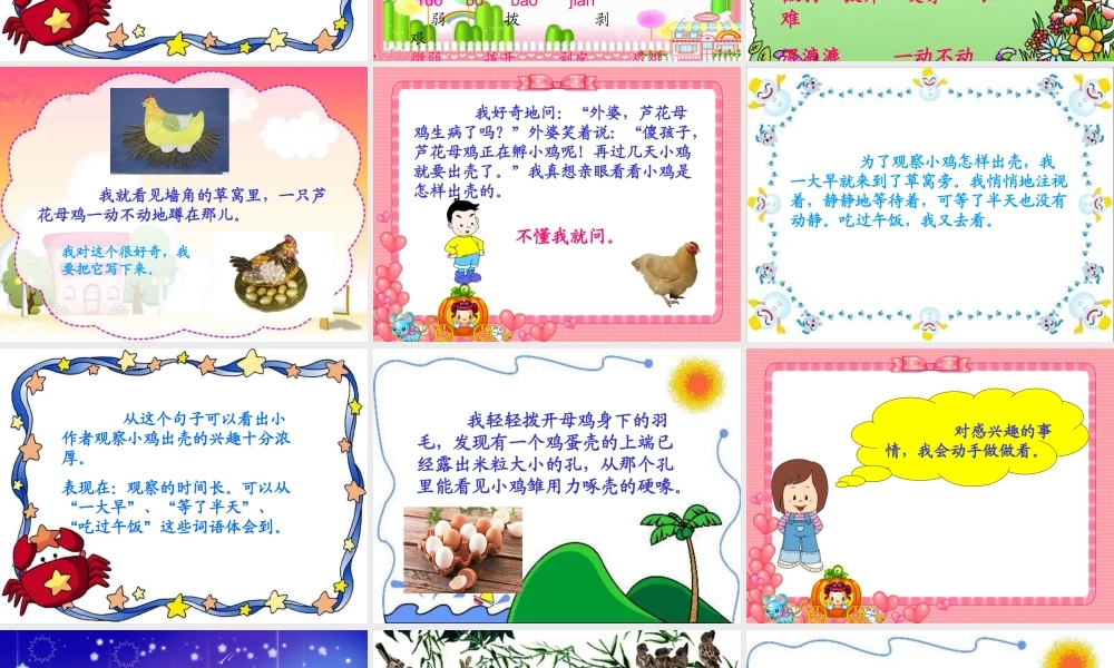 44《日记两则》PPT课件