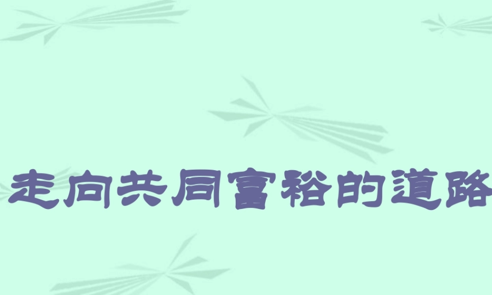 新课标 人教版初三政治走向共同富裕的道路 课件