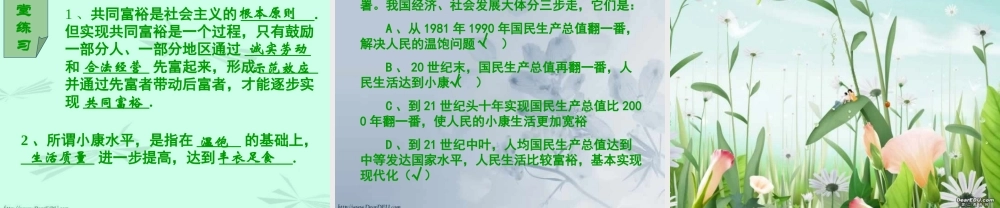 新课标 人教版初三政治走向共同富裕的道路 课件