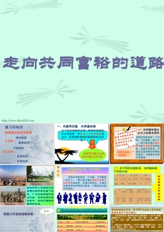 新课标 人教版初三政治走向共同富裕的道路 课件