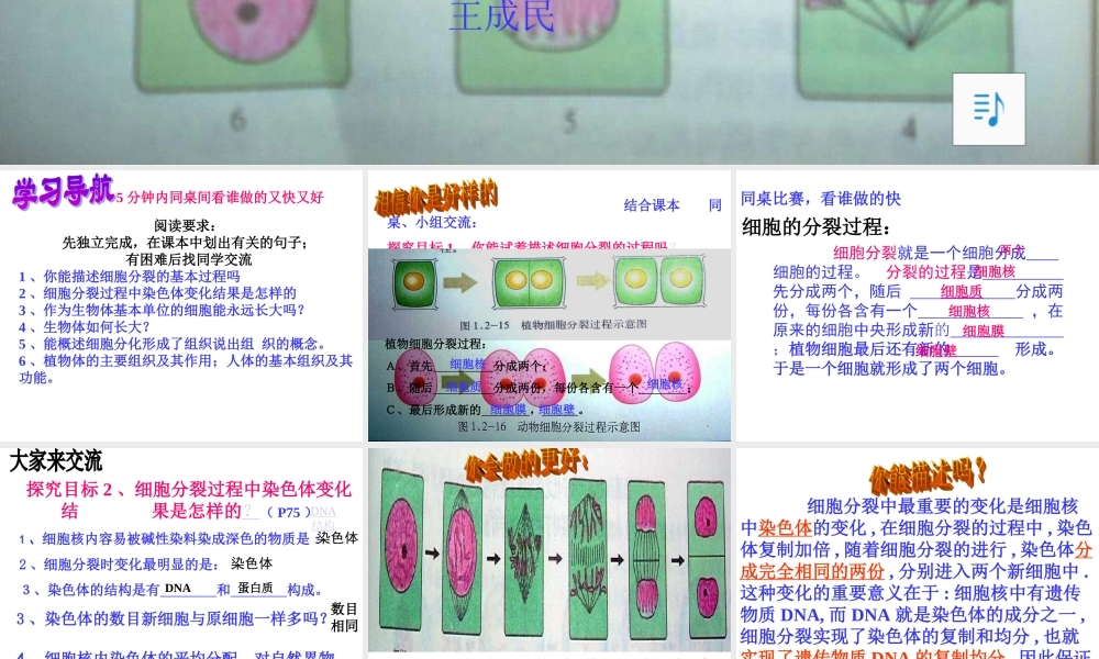 生物优质课课件-细胞的分裂和分化
