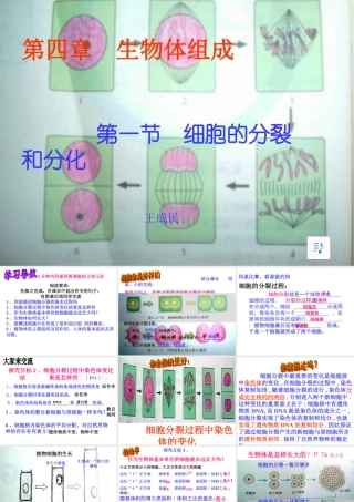 生物优质课课件-细胞的分裂和分化