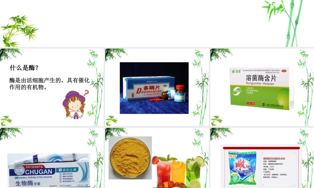 科学·技术·社会-酶为生活添姿彩-(2)