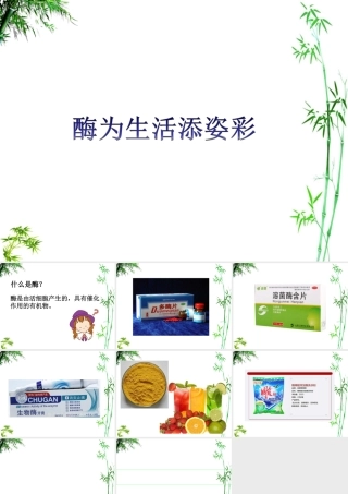 科学·技术·社会-酶为生活添姿彩-(2)