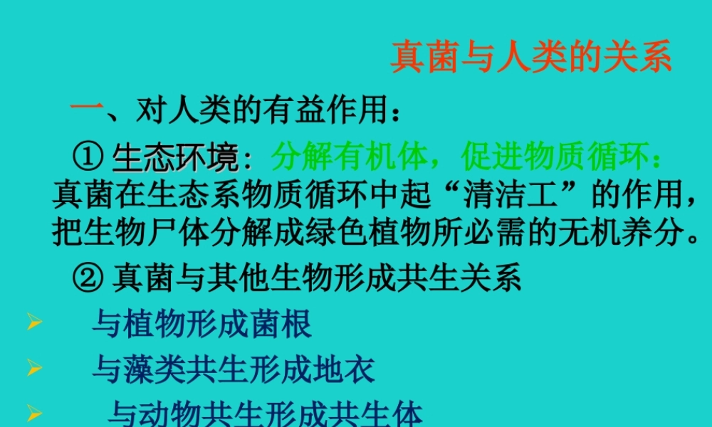 七年级生物上册 第一章 第二节 认识我们身边的其他生物 真菌与人类的关系课件 (新版)北京版 课件