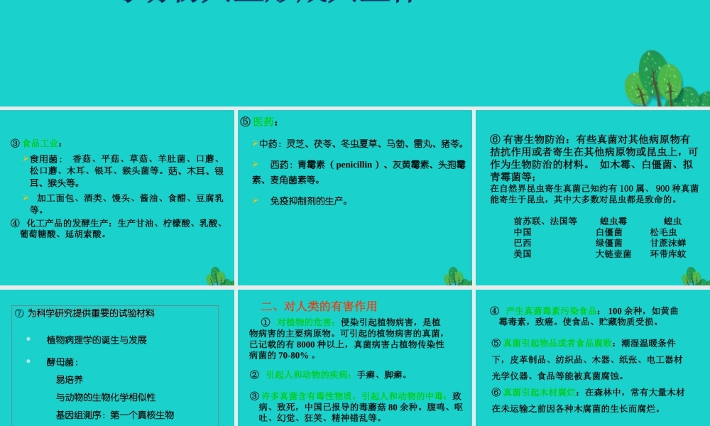 七年级生物上册 第一章 第二节 认识我们身边的其他生物 真菌与人类的关系课件 (新版)北京版 课件