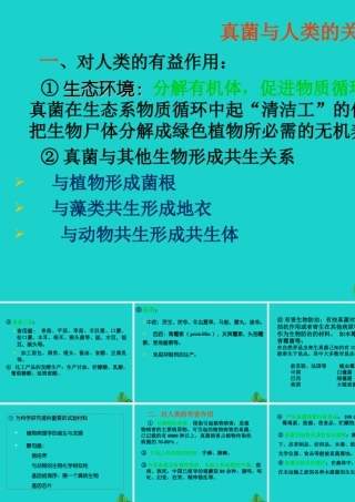 七年级生物上册 第一章 第二节 认识我们身边的其他生物 真菌与人类的关系课件 (新版)北京版 课件