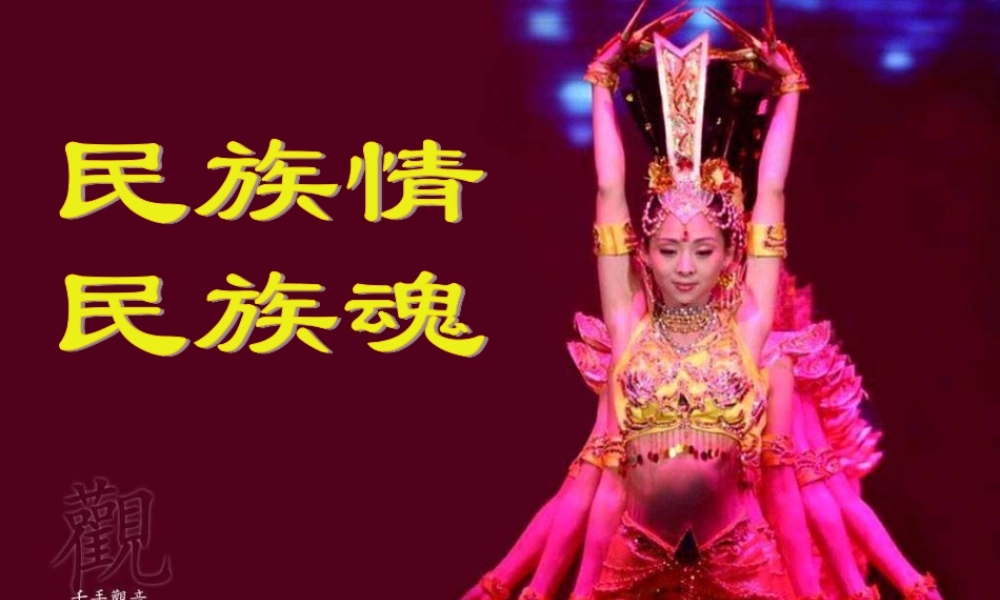 八年级政治下册 民族情 民族魂课件 苏教版 课件