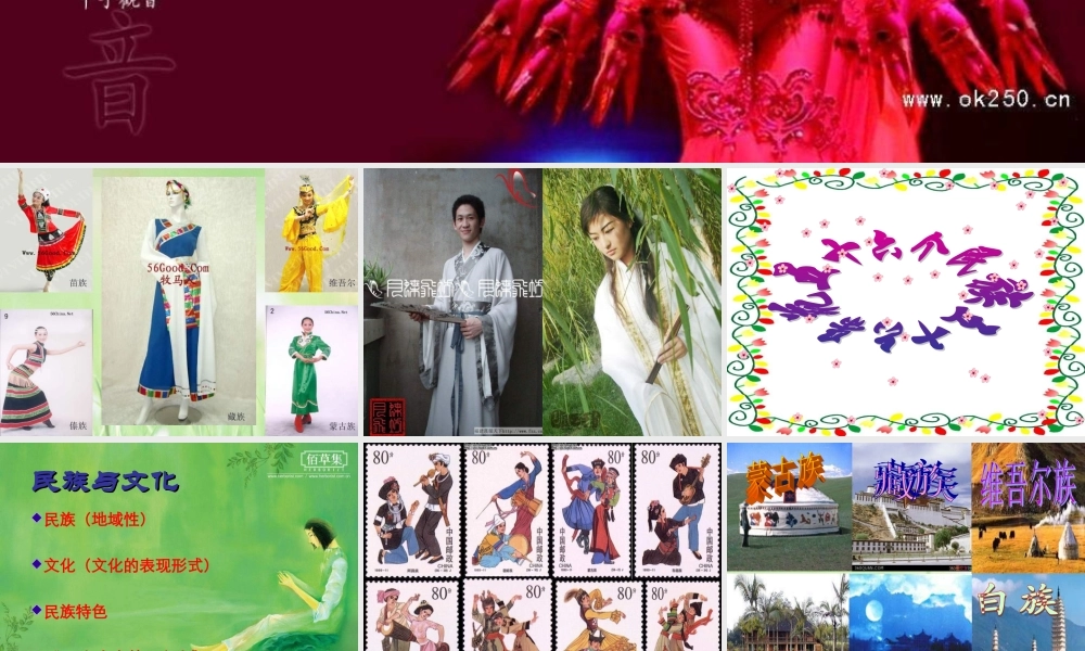 八年级政治下册 民族情 民族魂课件 苏教版 课件