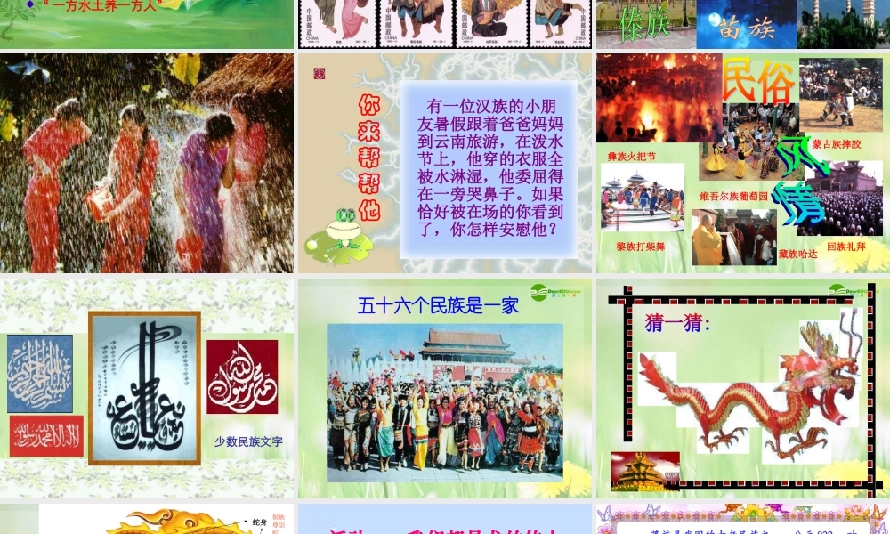 八年级政治下册 民族情 民族魂课件 苏教版 课件