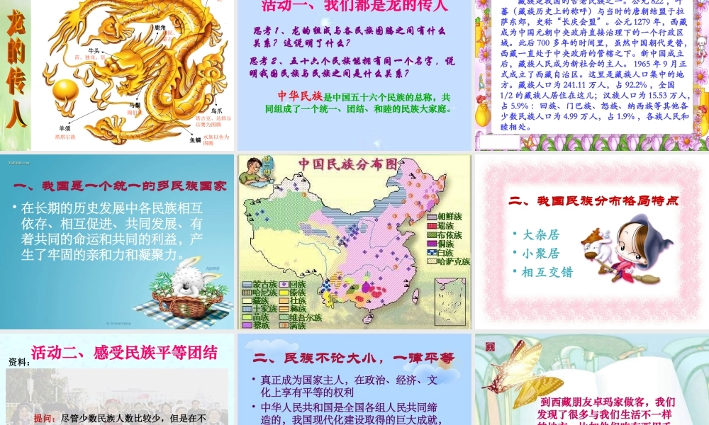 八年级政治下册 民族情 民族魂课件 苏教版 课件