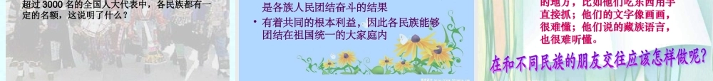 八年级政治下册 民族情 民族魂课件 苏教版 课件