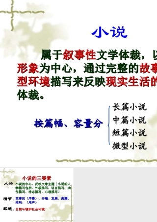 文体知识-小说