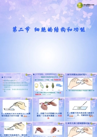 中学七年级生物上册 1.2.1 细胞的结构和功能(第2课时)课件 济南版 课件