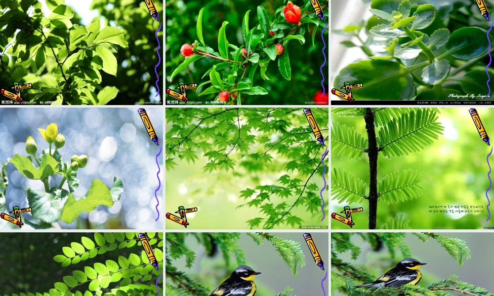 太阳的颜色付晶