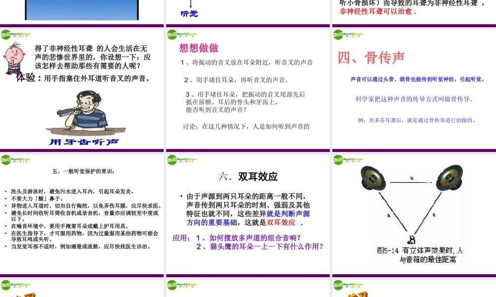 八年级物理上册 第二节(我们是怎样听到声音)课件 人教新课标版 0725 0725