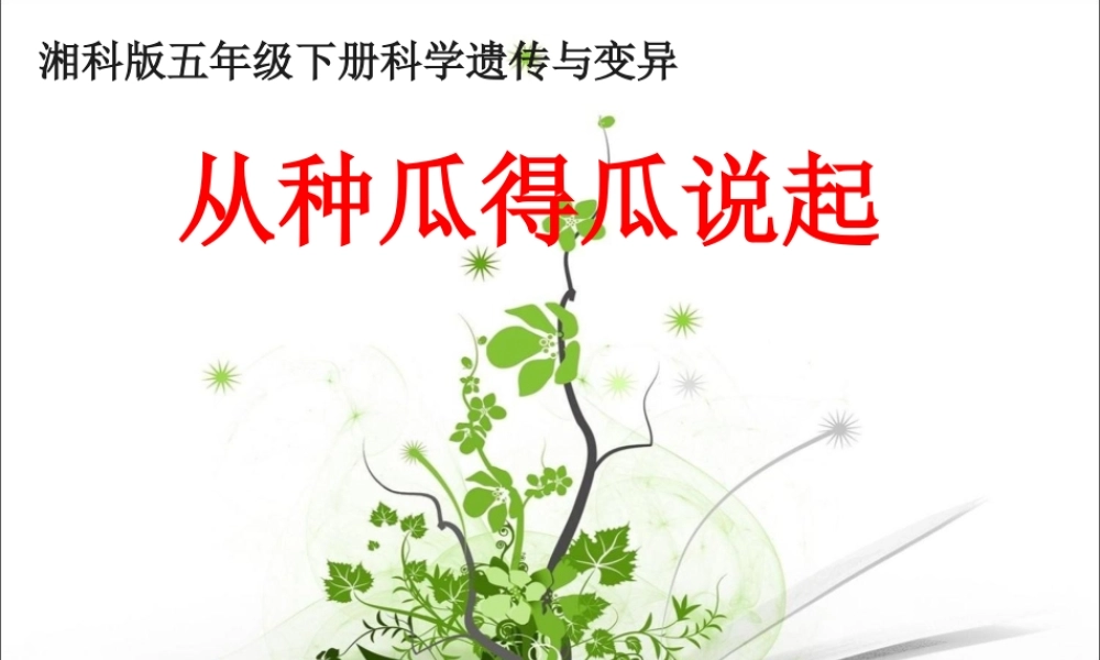 1从种瓜得瓜说起