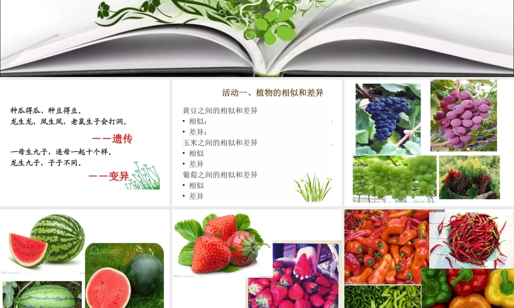 1从种瓜得瓜说起