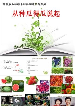 1从种瓜得瓜说起