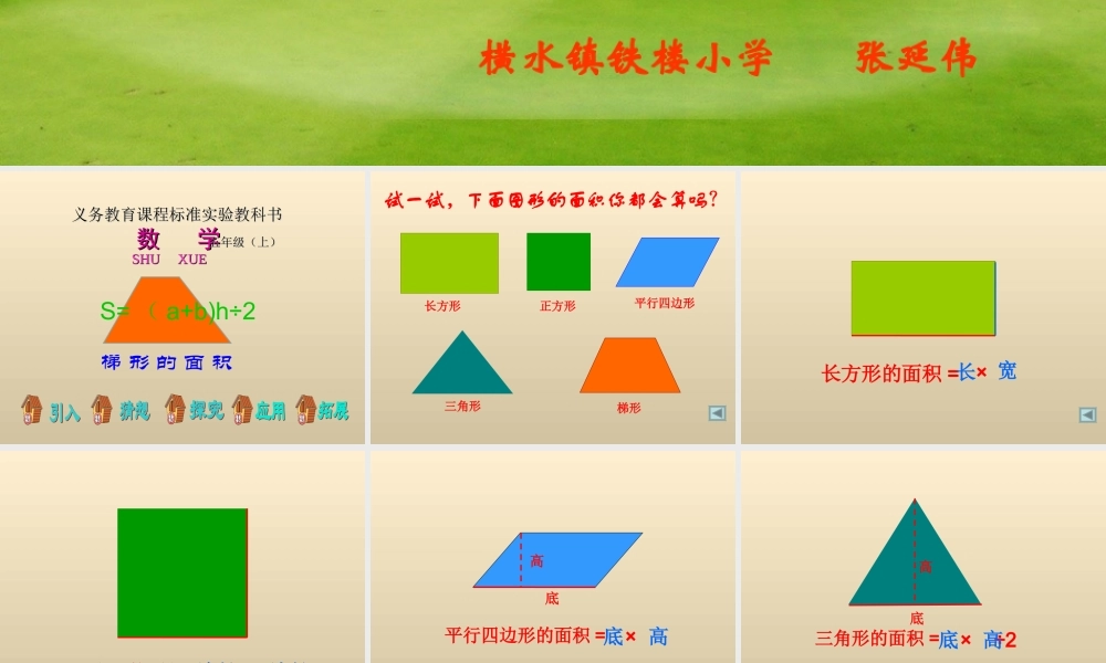 梯形的面积(张延伟)