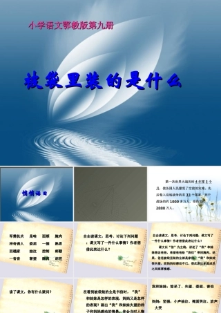 被袋里装的是什么