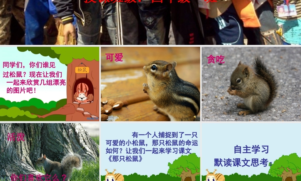 那只松鼠课件