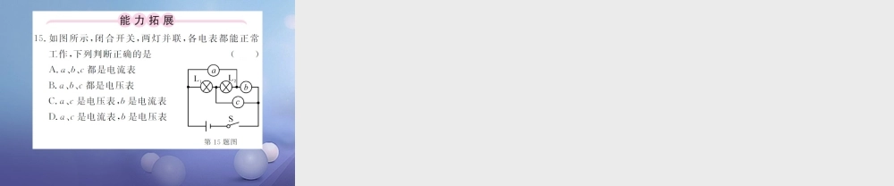 九年级物理全册 145 测量电压 第1课时 电压、电压表课件 (新版)沪科版 课件