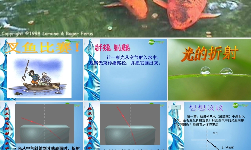 八年级物理 第四节(光的折射)课件 人教新课标版 课件